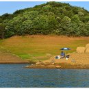 늘푸른낚시터 이미지