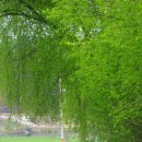 금강변길 이미지