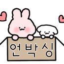 다다서치 이미지