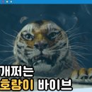 일상의 풍경+마음의 풍경 | 라이프 오브 파이 영화 후기 결말 줄거리 작품정보 출연진,이안 감독 Life of Pi (2012) 호랑이와 소년...