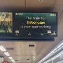 건국태권도장 이미지