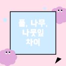 풀과나무
