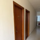 푸시존 | 🏝️ 몰디브 일기 2 | 두근두근 마푸시섬 방문기 🐠