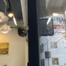 카페순순