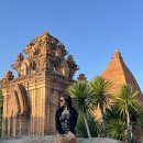 평안안경 | 여행기록 2탄. 하바나 나트랑 호텔 장단점, 아만스파, 포니가르 사원, 산티아고 호핑투어 솔직후기 비추천