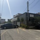 양지식당 별관 | 용인 양지 [금성식당] 전현무계획 청국장 맛집 내돈내산 후기 메뉴 추천