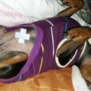 예향한방병원 이미지