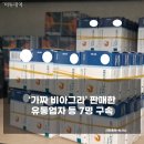 장정구 복싱 이미지