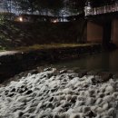 지안동물의료센터 이미지