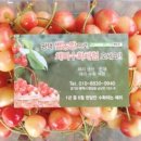 별농장 네이버블로그