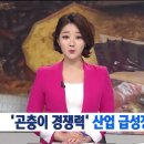 (주)엠비씨충북 - 충주시 | (주)엠비씨충북