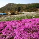만리축산 네이버블로그