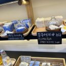 줄리스하우스