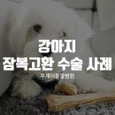 진성동물병원 이미지