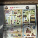 돼지왕국 | 일본 고베 동물왕국 3월 방문 후기 존잼 최소3시간 구경 가능