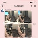 양산동물메디컬센터 이미지