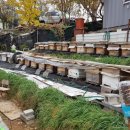 삼척항 해오름 민박 이미지