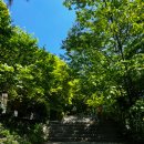 플라잉스톤 이미지