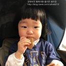홍금보미용실 이미지