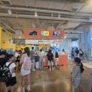 지엠시티평생교육원 | 부산 서면 실내놀이터 다이나믹 메이즈 부산 N번째 방문 후기