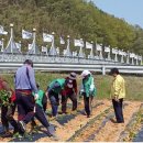 새마을농장 이미지