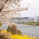 동촌역 자전거 주차장 | 대구 벚꽃 명소 금호강 자전거길 뚜벅이족 대구 봄 나들이