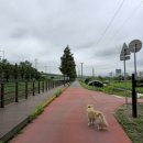 호국로 627번길 이미지