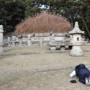 억새풀