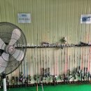 아산락실내바다낚시터 이미지