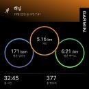 한주행정사 | 주간 일기 : 러닝 / 연비 / 홍시 생일 / 과천 동물원