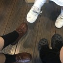 도그비앤비 | 시골쥐랑도시쥐, 어느쪽이좋아?
