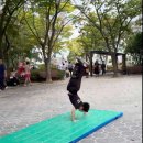 합기도 봉연관 신촌도장 이미지