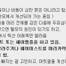 미샤헤어 Daum카페