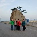 정임 - 유성구 대정로28번안길 25 | 정임