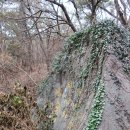 안창약수터 | [부산] 황령산숲둘레길 트레킹후기---2025년 12월 21일(일)