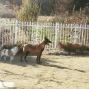 마일로 - 남구 분포로 61 | 마일로