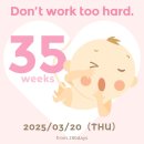 동산제일2차@경로당 | [Diary/출산기록] 전치태반 고위험산모의 임신과 출산기록 #4 (계명대동산병원,전치태반,출산)