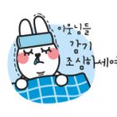 멍멍왕자 야옹공주 이미지