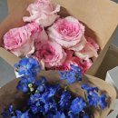 오렌즈 강남역신분당선점 이미지