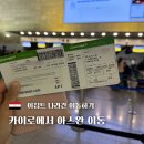 이집트 카이로에서 아스완 가는법 기차, 비행기 비교_네스마항공 결항 후기