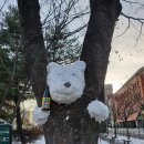 서낭당근린공원 이미지