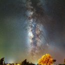 별 - 서산시 | 별