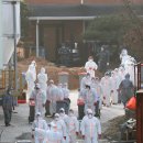 조태형농장 이미지