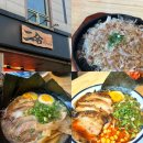 베네피아 오피스텔 | 생맥주 1+1 판교 야탑 점심 라멘맛집 니고라멘 야탑직영점 내돈내산 추천 후기