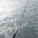 후포 비소 제10호 | NS 허리케인 씨배스k 962 몬스터로 쇼어지깅 도전!