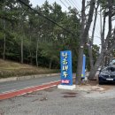 일광로 | [황금새우 기장본점] 부산 기장 대하구이 | 야장 대하 맛집 | 솔직후기, 내돈내산