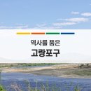 고랑포구