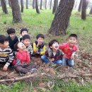 연화산 유아숲체험원 이미지