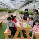 영덕야성초등학교병설유치원 이미지