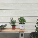 오마주 민박 이미지